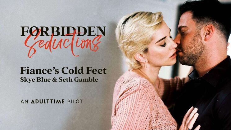 Forbidden Hookup: Seth Gamble Fucks Skye Blue Rough