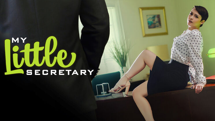 Bathroom Fuck with Petite Secretary