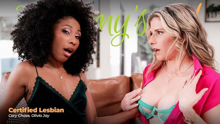 Lesbian Interracial Encounter
